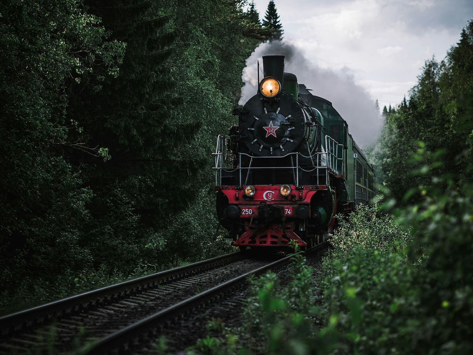 A vintage steam train passing through a forest, with trees lining both sides.