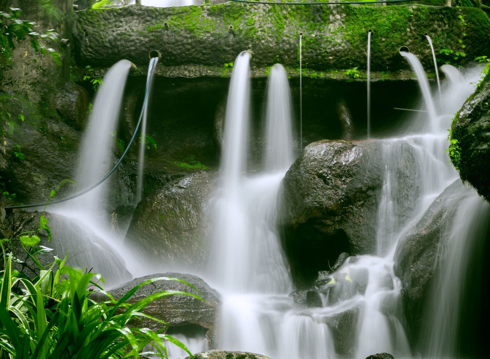 An image of a waterfall surrounded by trees and plants and above that there is a bridge