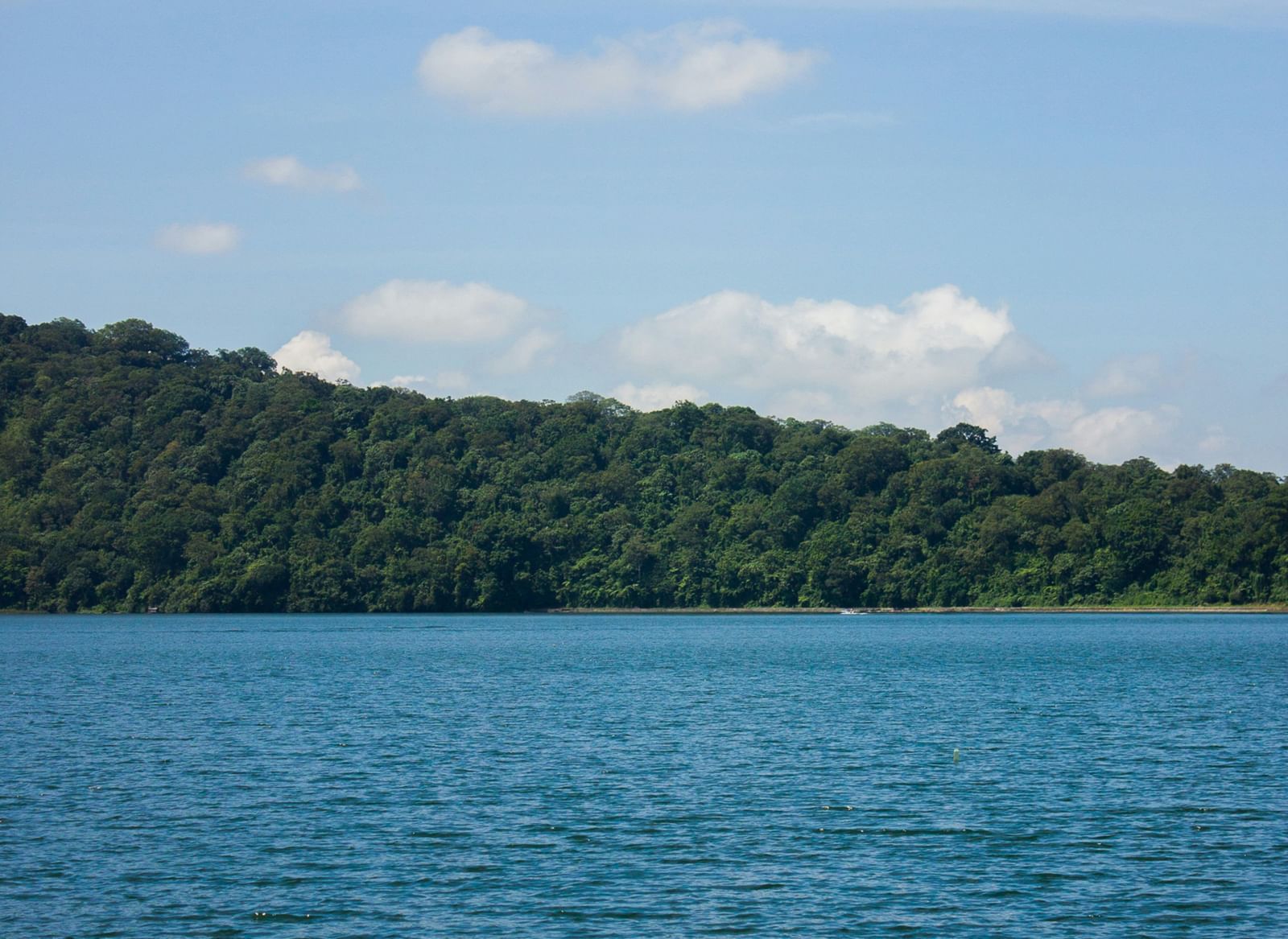 A still, blue lake or large body of water bordered by a lush green forest under a clear blue, cloudy sky.