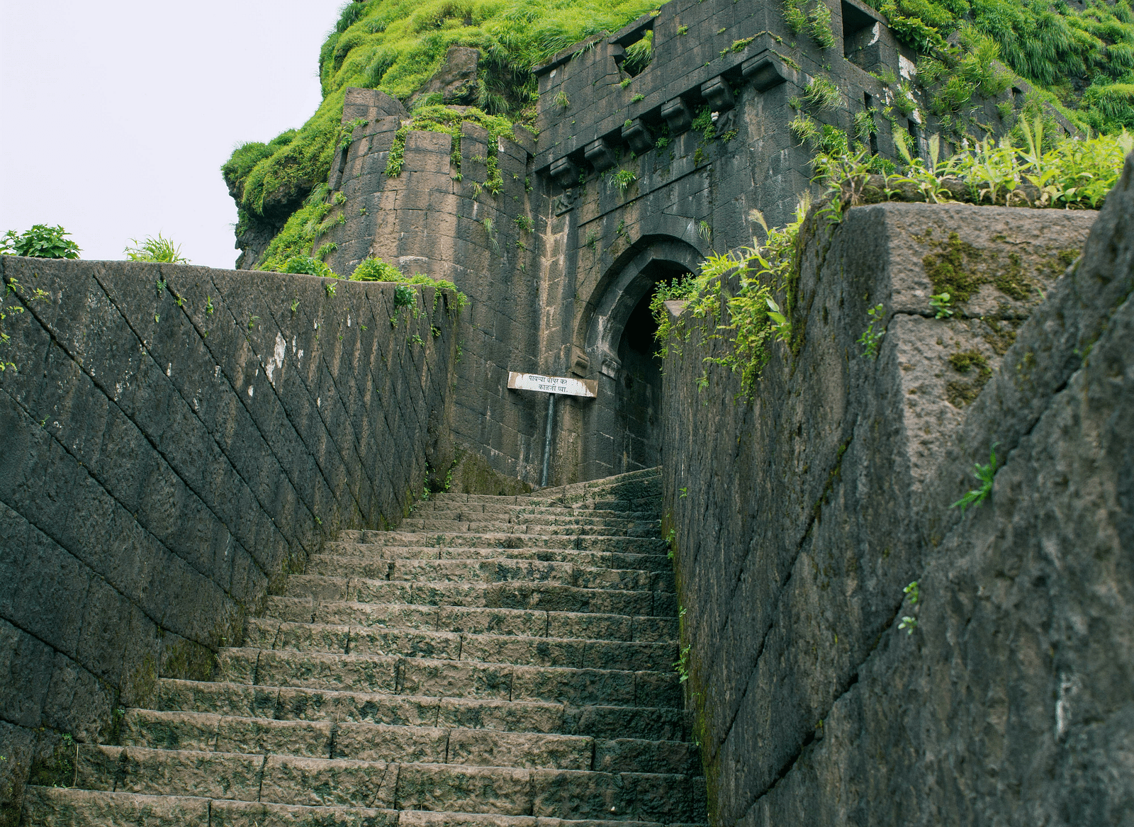a flight of stairs leading to moss covered entrance during daytime