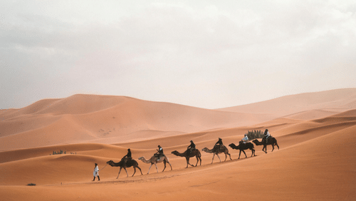 A guide taking people for a camel back ride in the desert on a cloudy day