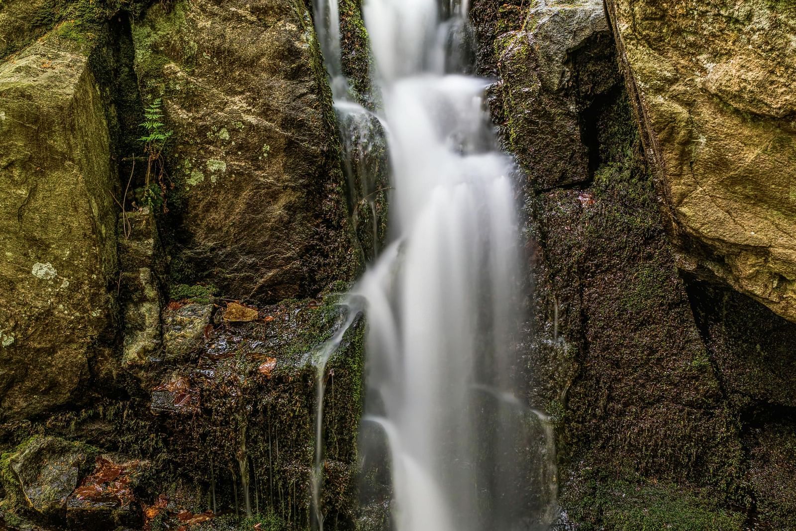 A waterfall cascading down a rocky cliff in a green forest.