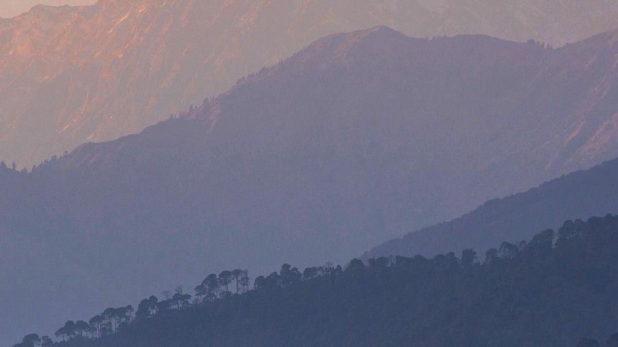 Palampur