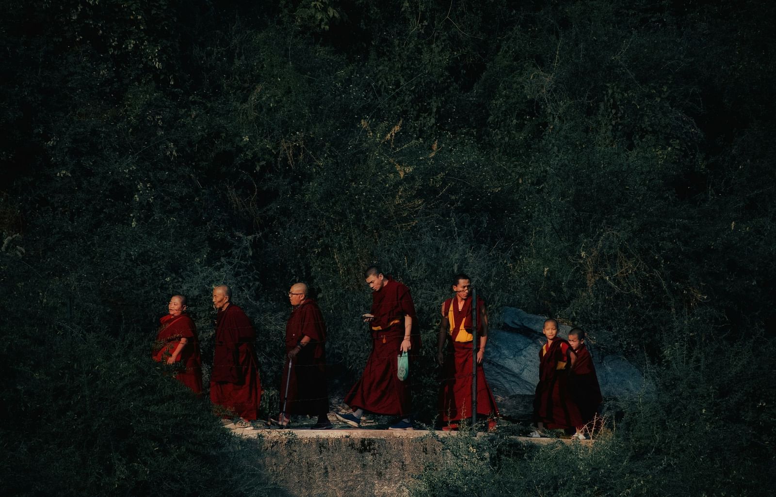 Group of monks walking on a narrow path, surrounded with trees and high grass.