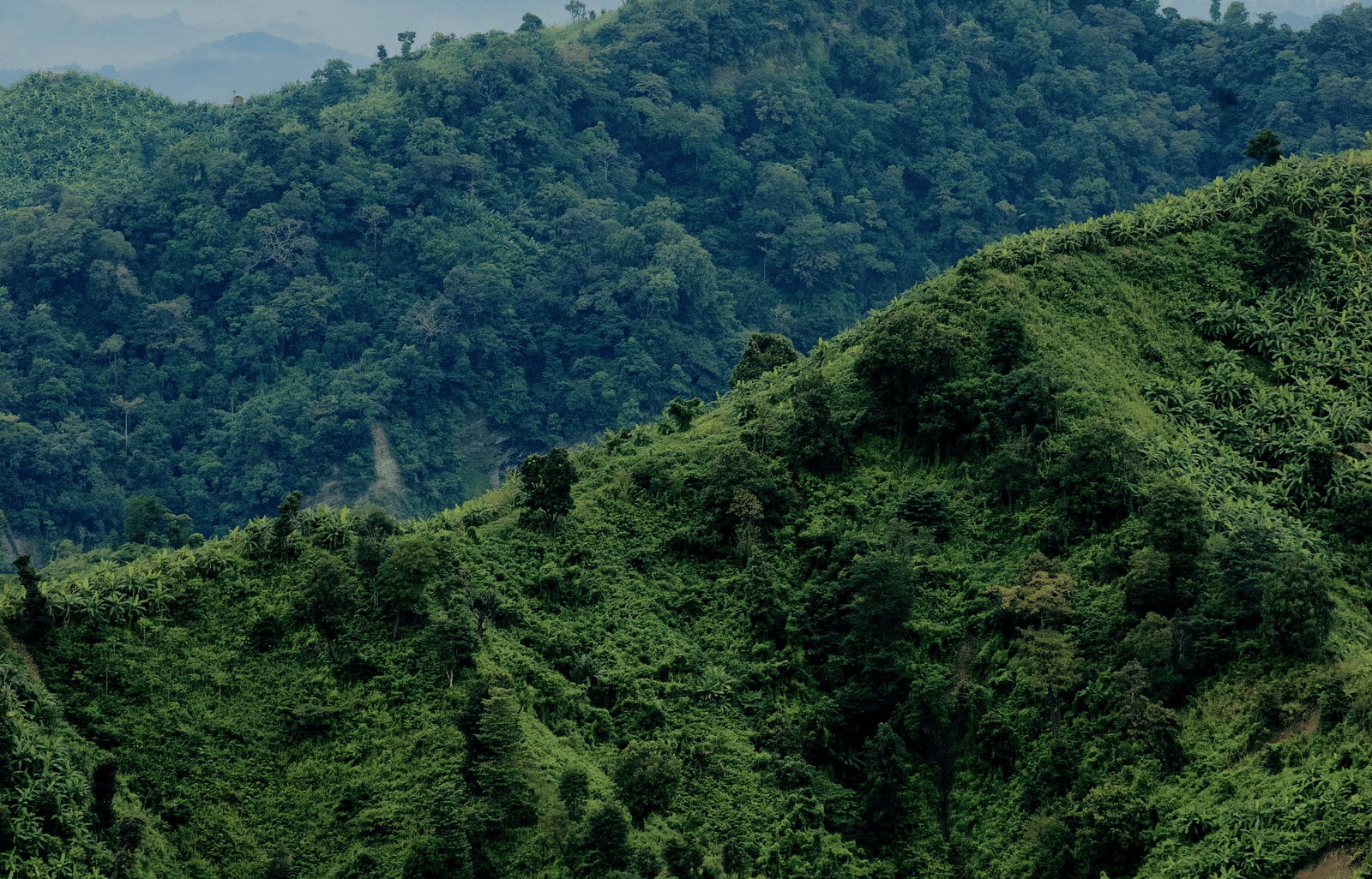 An aerial view of a mountain .