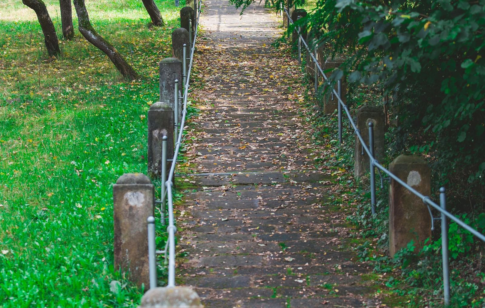 View of a walking pavement in a park with trees in the background.