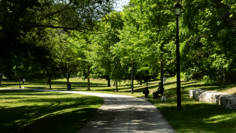 A paved path leading through a park surrounded by lush trees, with sunlight beaming in.