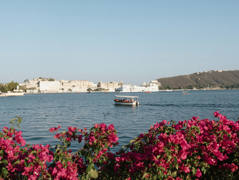 A view of Lake Pichola from a distance featuring pink flowering plants and a palace at its centre.
