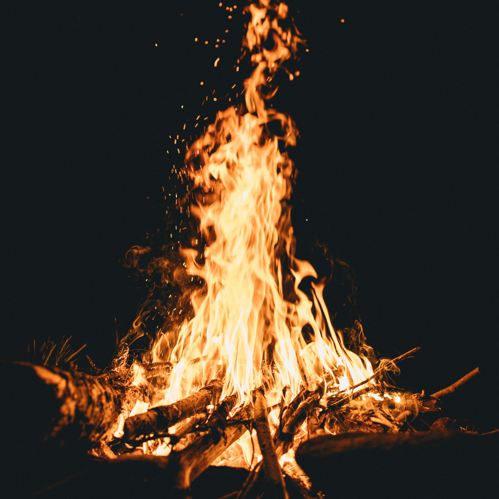 wes-hicks-LorsomvLboI-unsplash