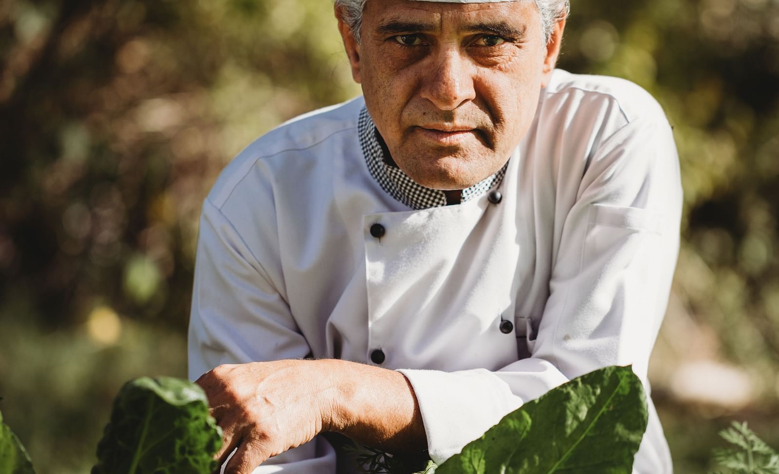 A man with a chef's hat with plants around him- Shahpura Bagh.
