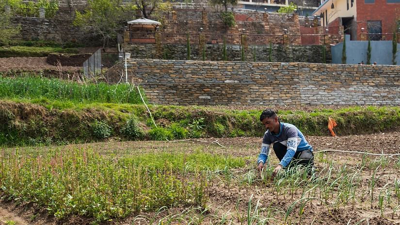 A farmer's activity in the Agricultural field at the Digantaa Resort