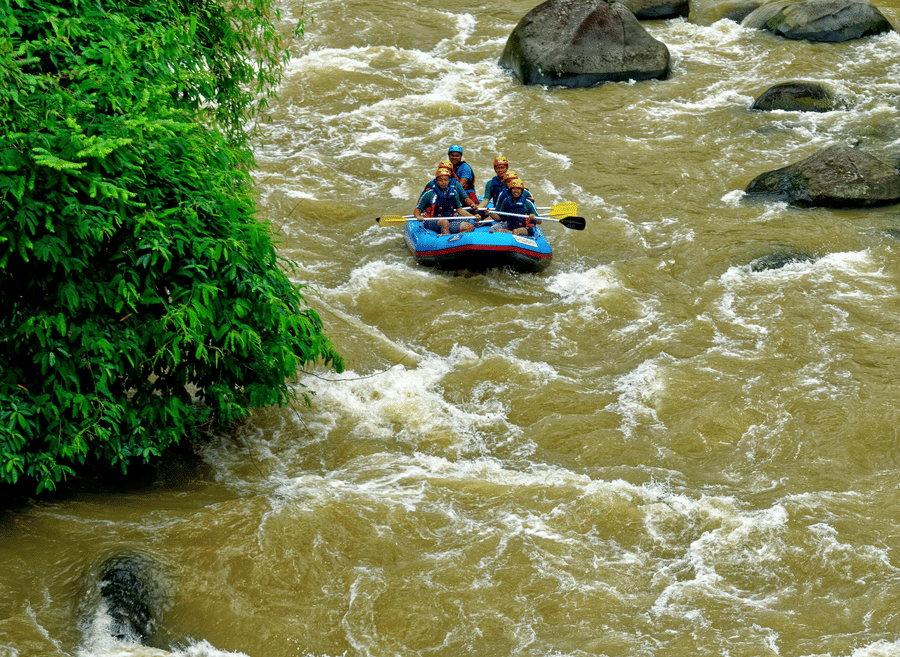 A group of people whitewater rafting on a turbulent river surrounded by lush green vegetation.