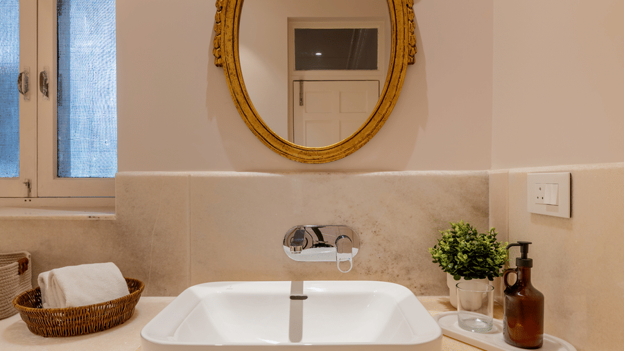 A bathroom counter at Barwara Kothi, Jaipur featuring a wash basin, mirror, potted plant, and toiletries.