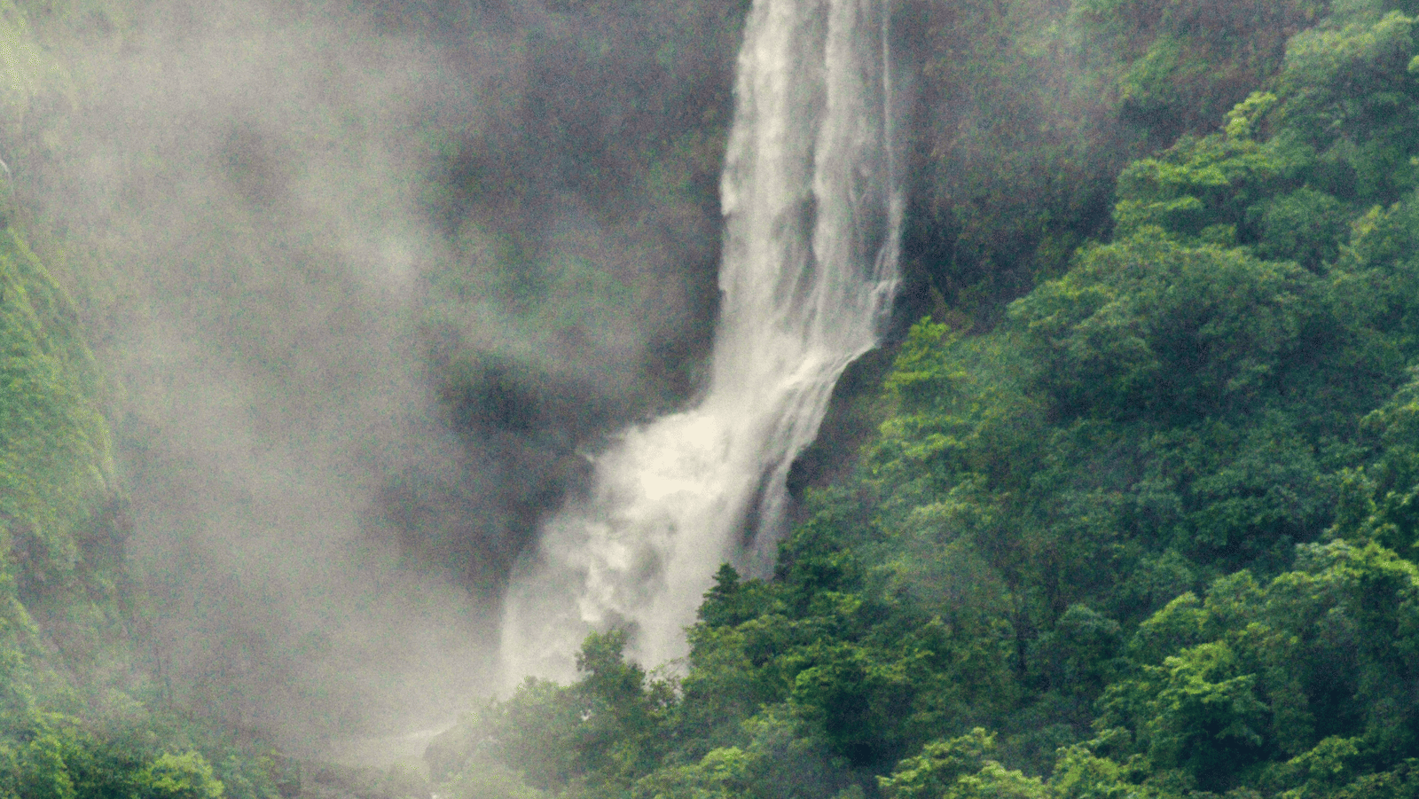 A vertical shot of a tall, thin waterfall plunging down a deep, lush green ravine, shrouded in heavy white mist.