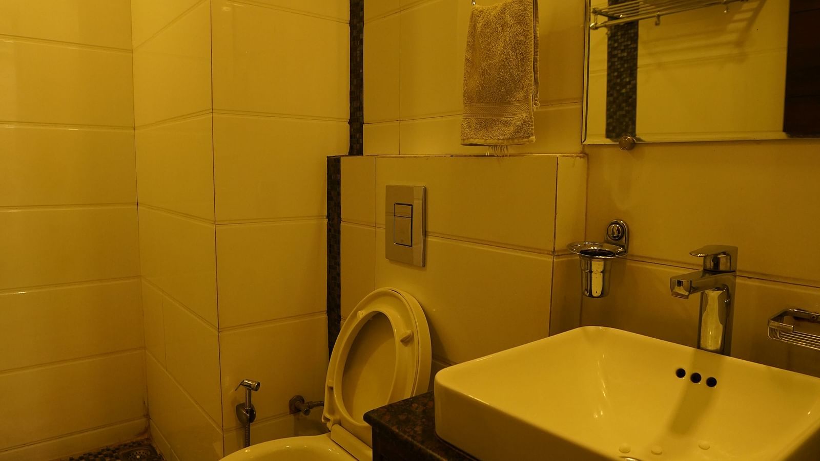DSC03867