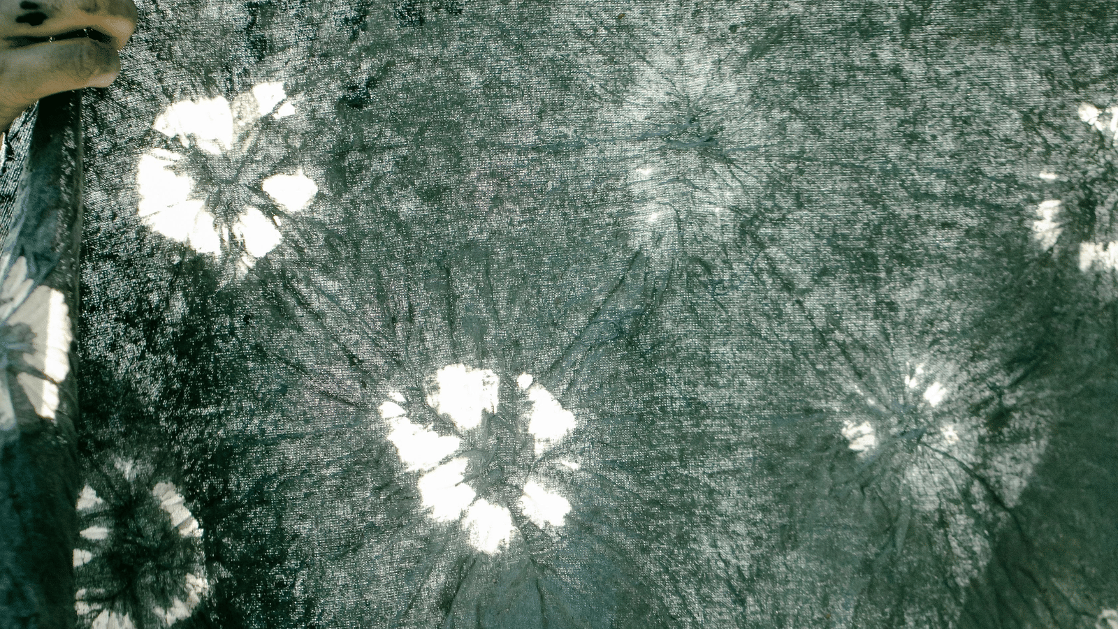 pexels-teona-swift-6851124