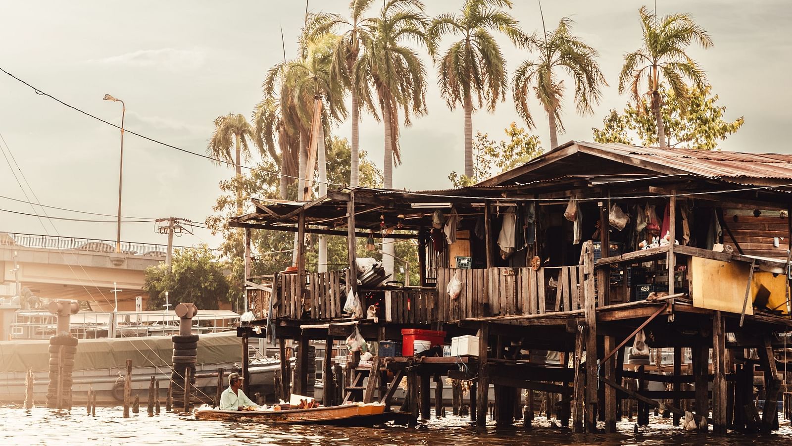 A view from the waterbody of a building in the distance with coconut trees behind it.