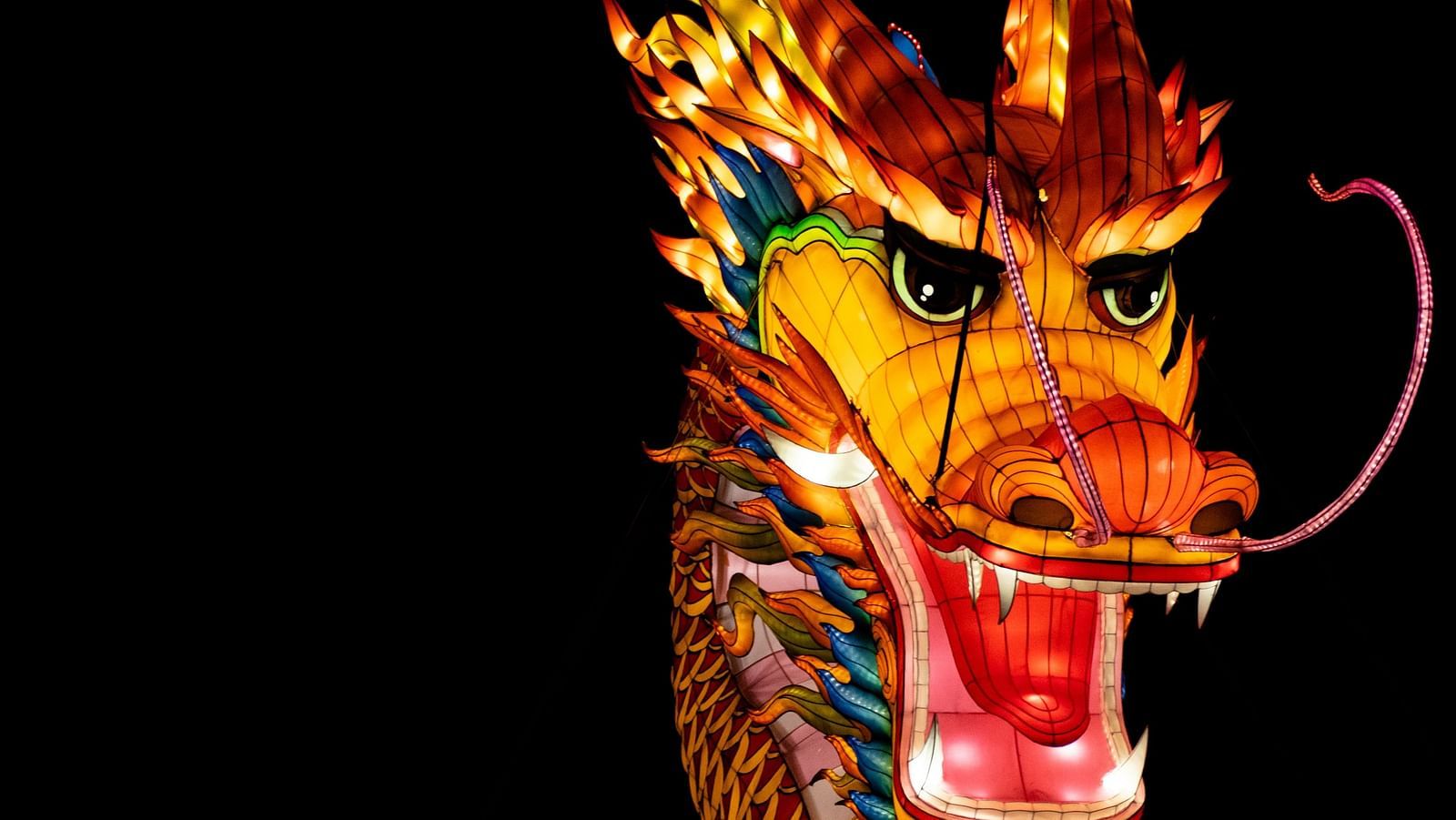 a close up shot of a dragon that is made for Lunar New Year festivities
