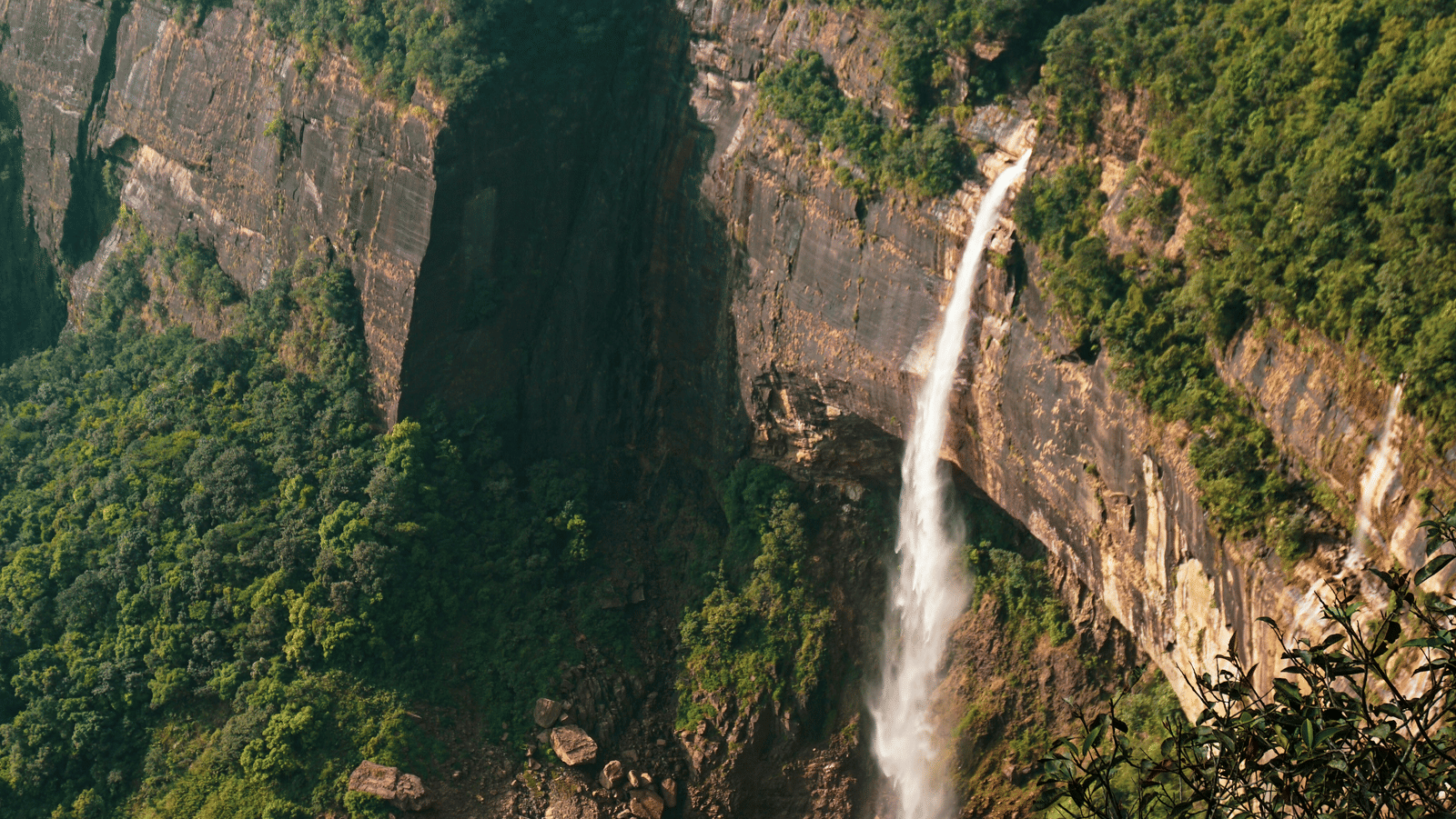 ashwina-kumar-GWVumr18qQc-unsplash
