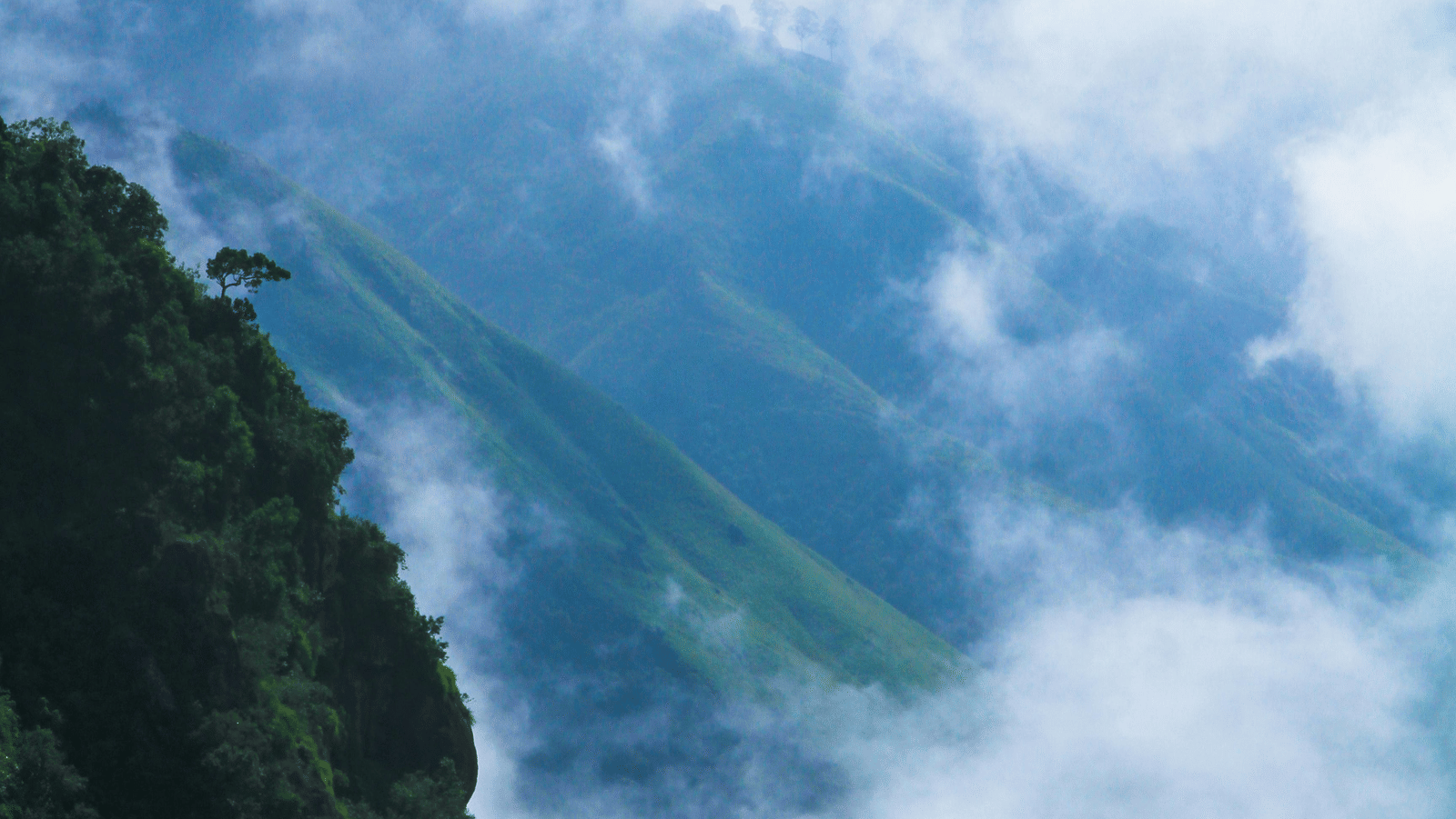 pexels-nandhukumar-943592