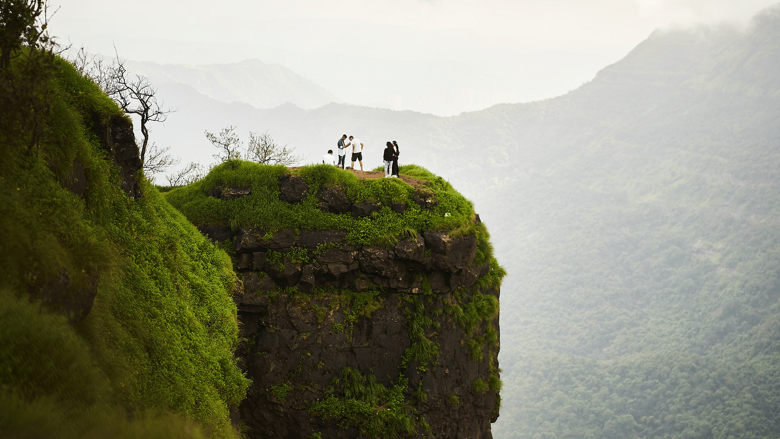 a group of people standing on a cliff taking pictures with the nature view