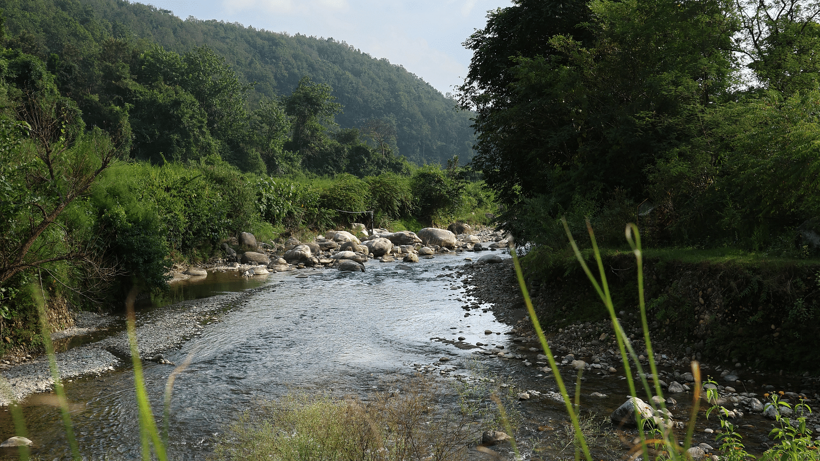 A view of the stream amongst greenery at the Sylvan Retreat, Dehradun.