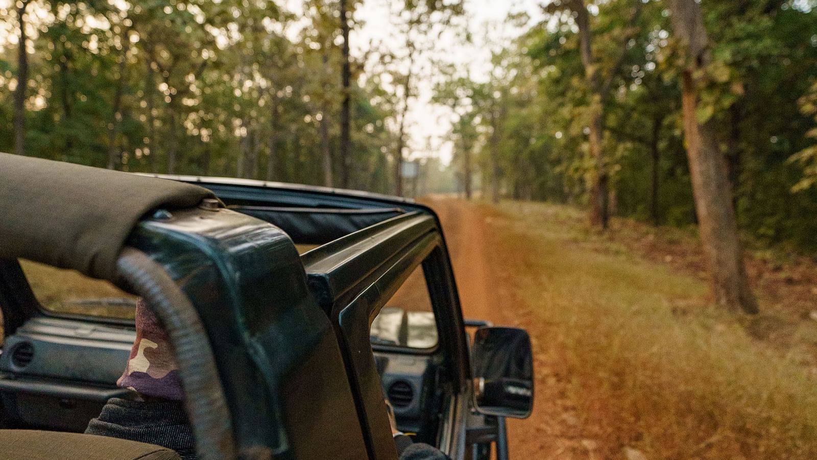 A close up shot of a jeep while on a safari - Trees N Tigers, Tadoba.