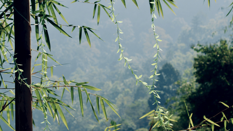 vishwasa-navada-k-qbYPtbntbwg-unsplash