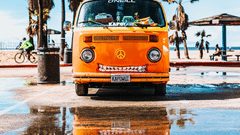 A car parked near the road on a hot summer day with a tree beside it.