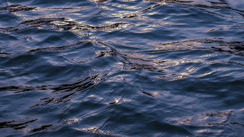 A close-up view of deep blue water with small ripples reflecting soft sunlight at Ananta Express, Katra.