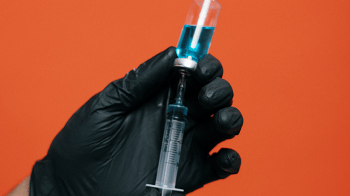 pexels-cottonbro-3952222