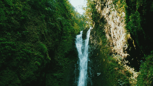 A tall, narrow waterfall cascades through dense greenery into a rocky pool hidden within a tropical forest.