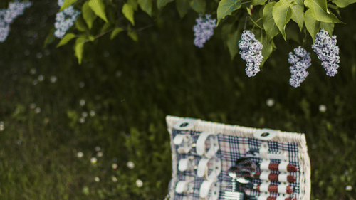 white-wicker-basket-1591172