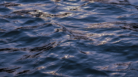 A close-up view of deep blue water with small ripples reflecting soft sunlight at Ananta Express, Katra.