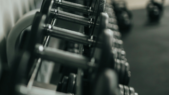 A close-up, perspective view of a row of black dumbbells neatly arranged on a rack within a modern gym setting.