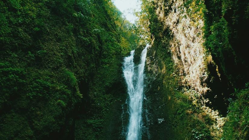 A tall, narrow waterfall cascades through dense greenery into a rocky pool hidden within a tropical forest.