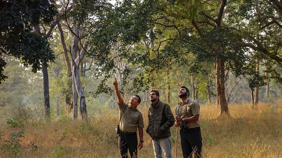 Walking tours near Bhopal