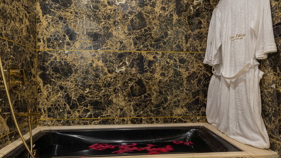 bath area with bath robe