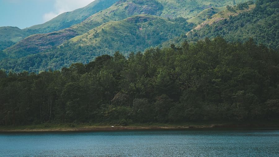 firosnv-photography-luMDvpazO Y-unsplash