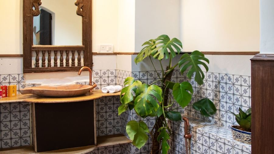 white walls with one plant   @ Lamrin Ucassaim Hotel, Goa
