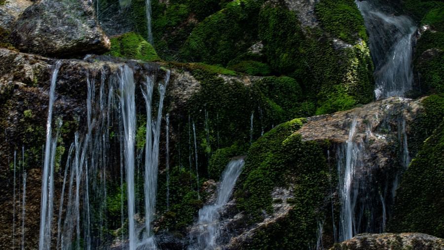 Small streams of water flowing down rocks that is covered in moss