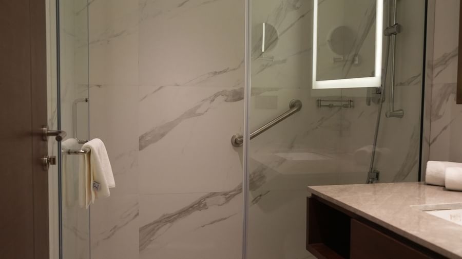 A contemporary bathroom with a glass-enclosed shower, a toilet, and a vanity with a sink and mirror | Deluxe Double Bed Room | Sarovar Portico, Hanumangarh
