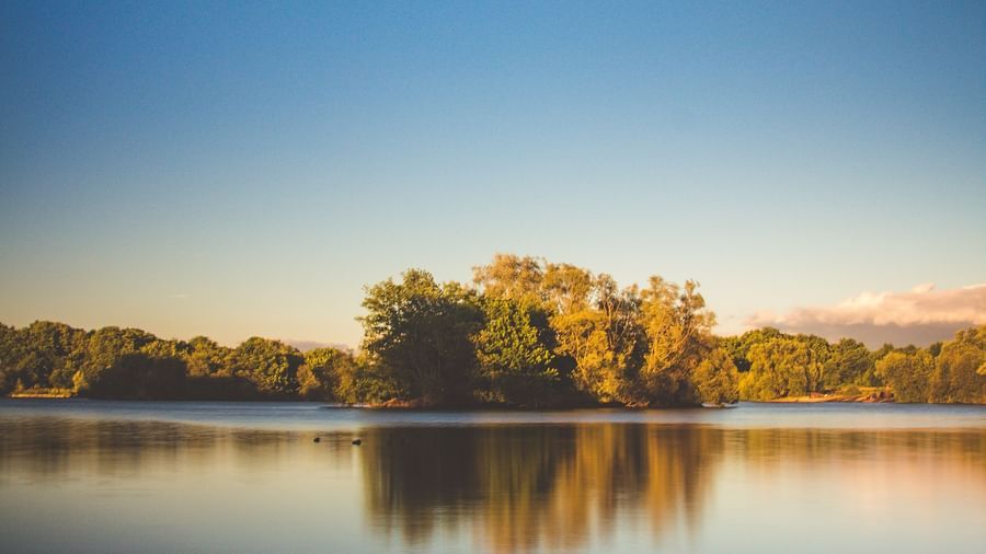 view of a lake with forest