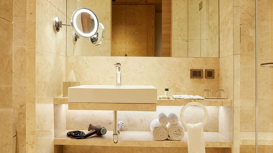 Premier Rooms in Chennai - Bathroom Vertical