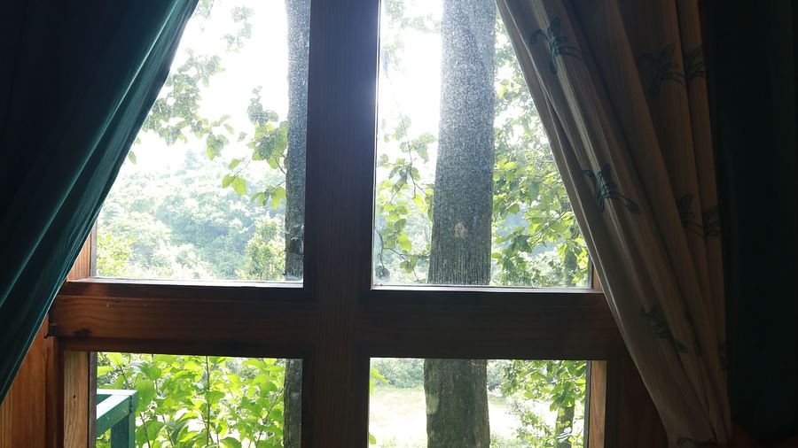 view from Superior Cottage