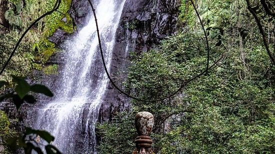Waterfall amid greenery