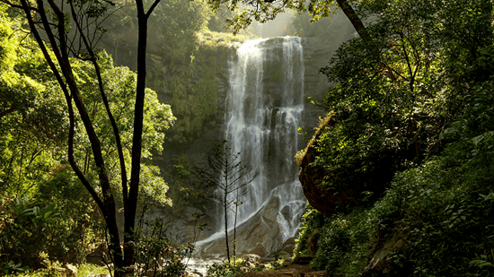 A narrow dirt path leading through dense woodland towards a cascading waterfall