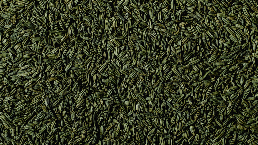 Close-up of dark green, finely textured seeds, tightly packed, filling a narrow vertical frame.