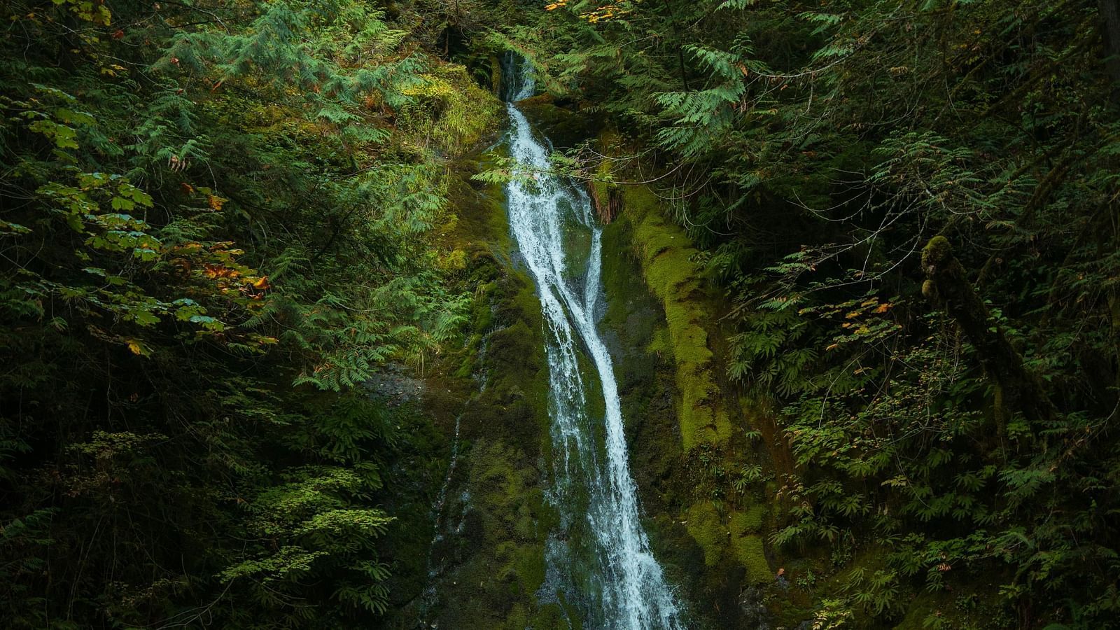 Scenic image of a waterfall in a lush green forest.