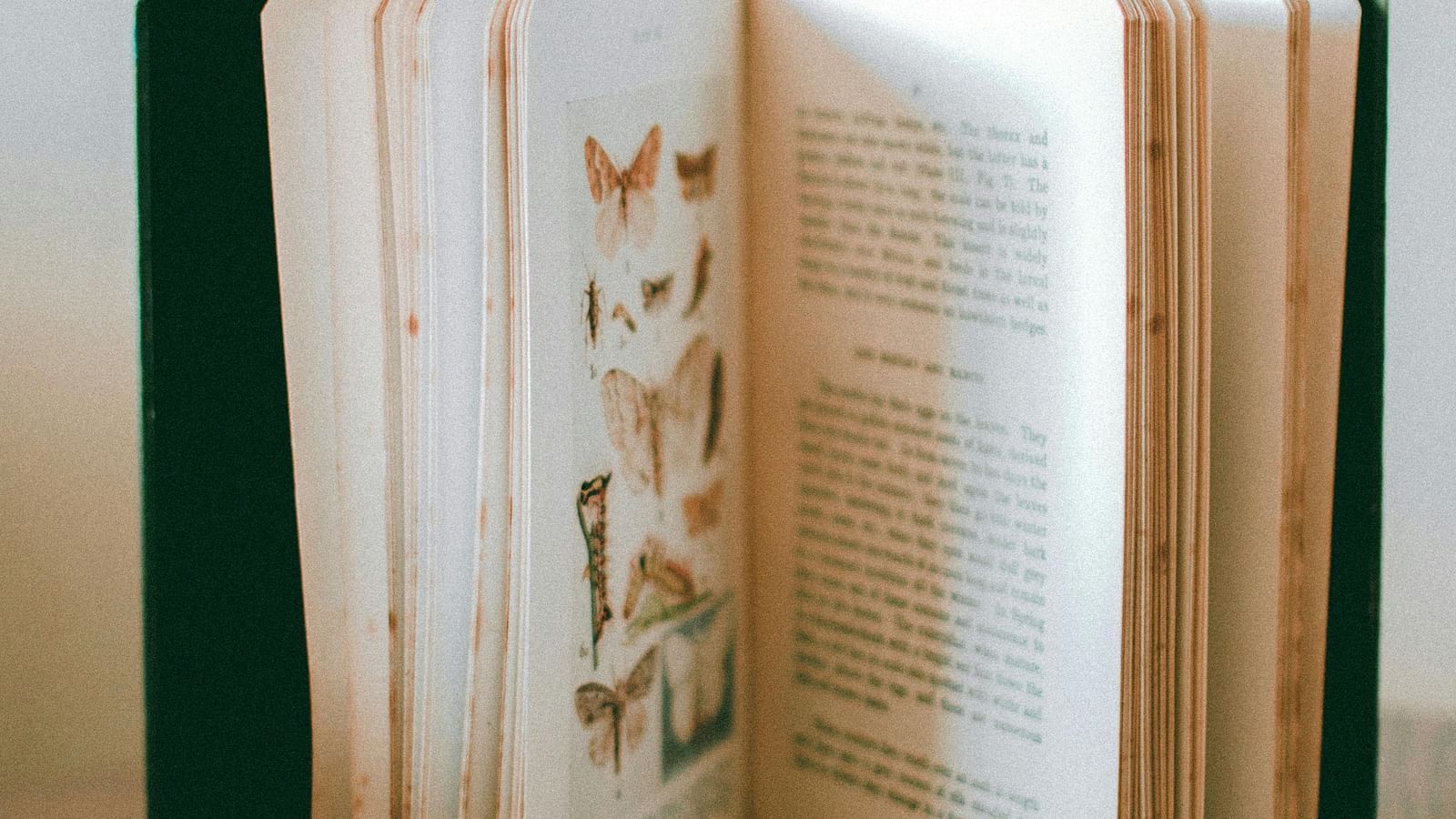 An open book resting on a wooden surface, displaying pages with text and  illustrations of butterflies-The book has aged pages with slightly brown edges